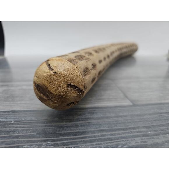 Chilean Cactus Rain Stick • Musical Instrument • Curved • 19.5” [64] - Picture 10 of 11
